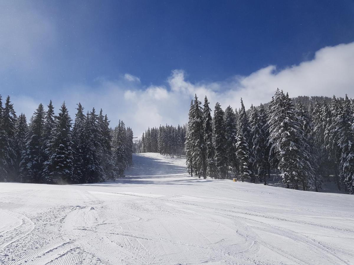 Monastery Apartment C39 Bansko Dış mekan fotoğraf