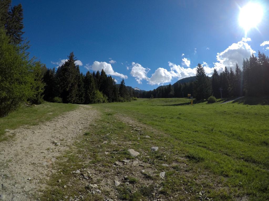 Monastery Apartment C39 Bansko Dış mekan fotoğraf